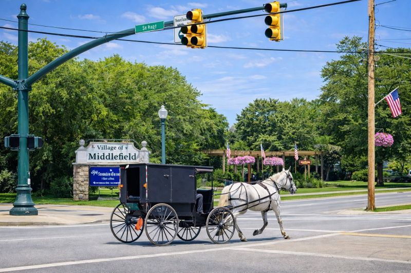 Best Bathtub Installation pros in Middleburg, FL